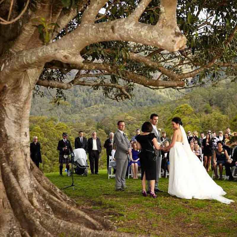 fun wedding ceremony brisbane
