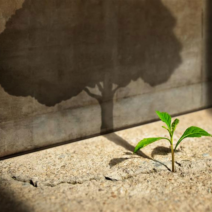 identity counselling psychology therapy brisbane