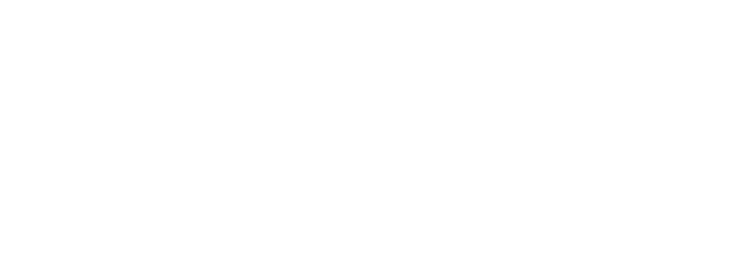 logo primary white